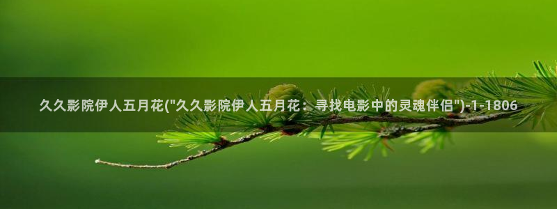 蜜臀AV在伊人久久影院：久久影院伊人五月花(\