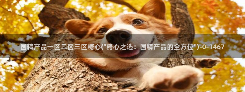 心糖vlog免费观看