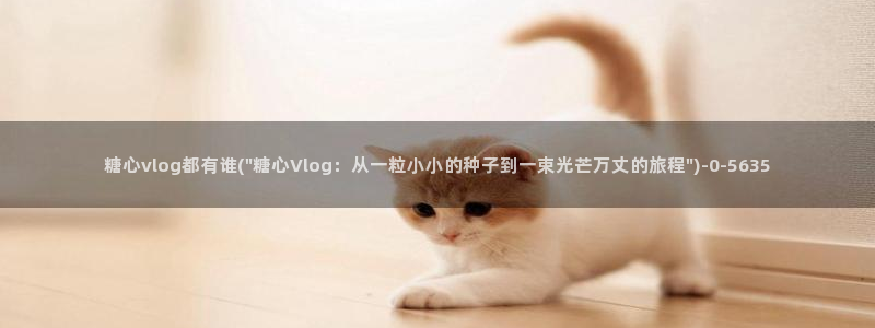 糖心vlog大全