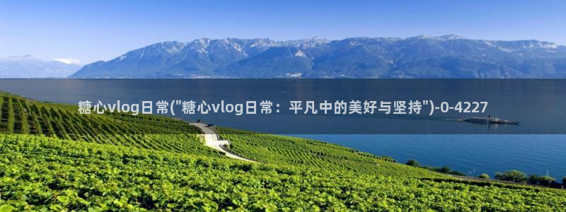 糖心短视频vlog