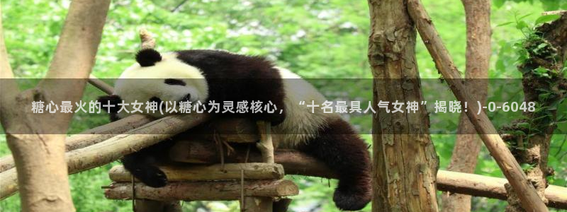 糖心vlog 网页版下载安装