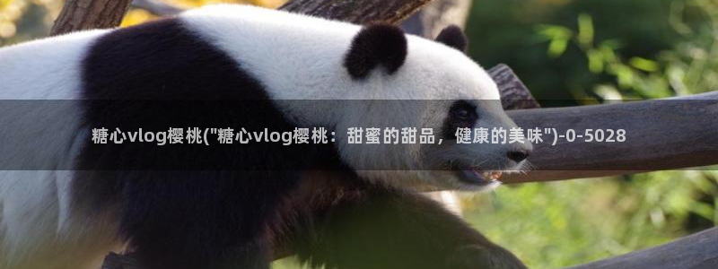 糖心vlog破解版免费下载
