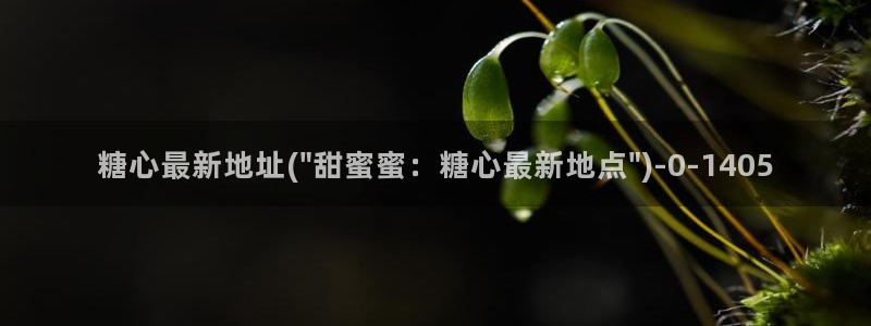 糖心vlog星辰