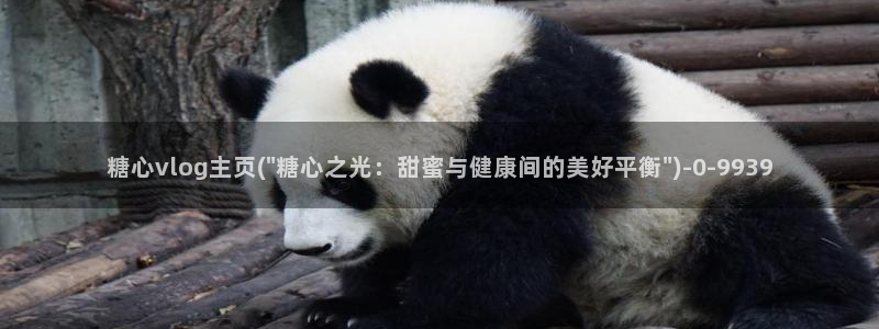 糖心官网vlog