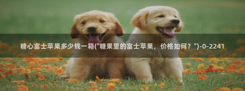 糖心vlog正版