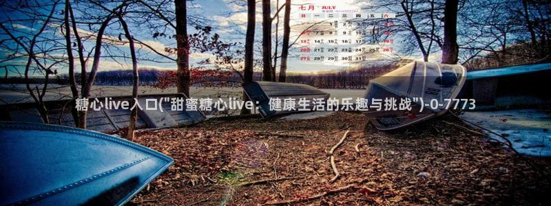 心糖vlog 网站
