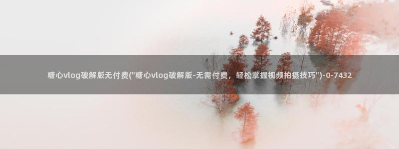 糖心vlog在线下载